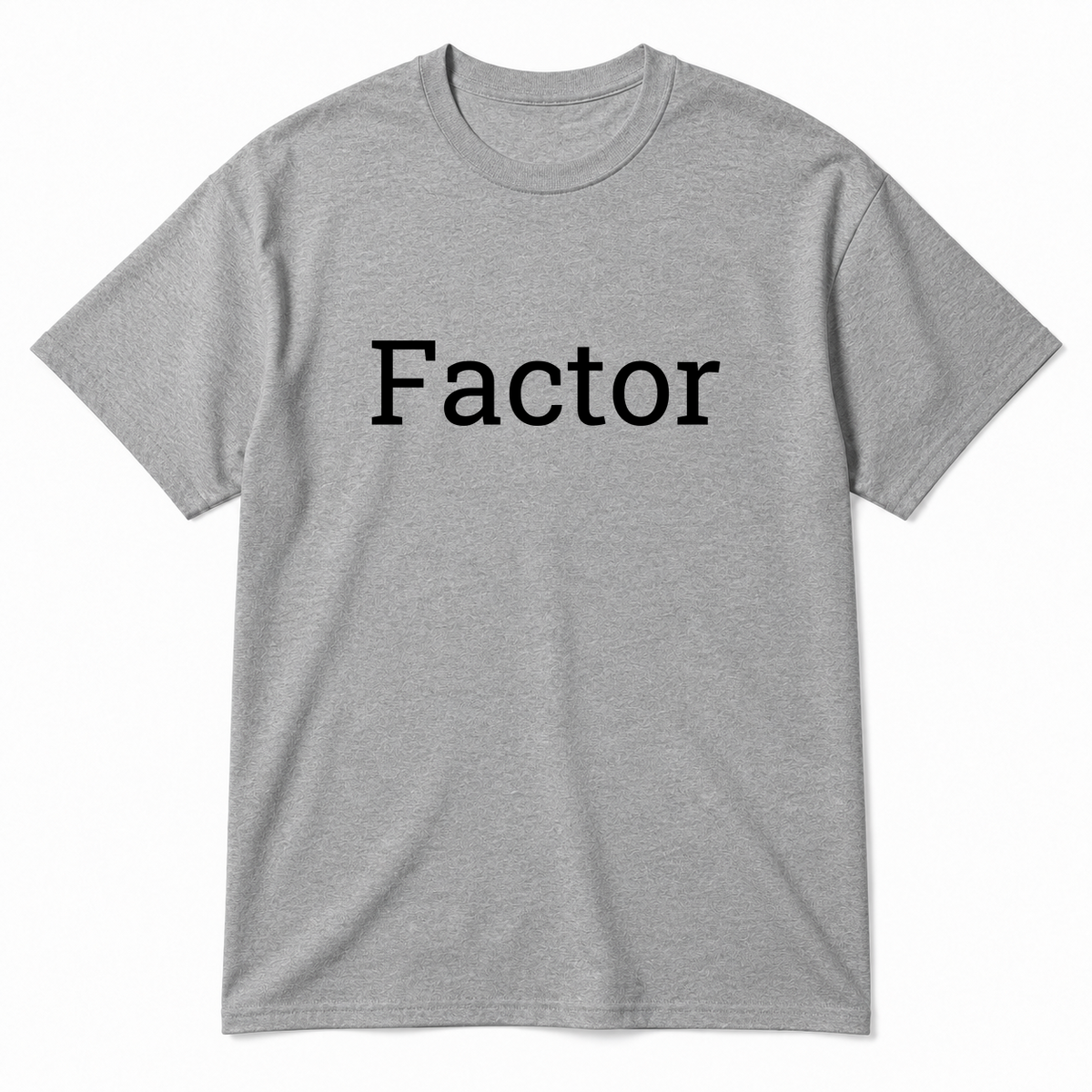 Factor T-Shirt in gray
