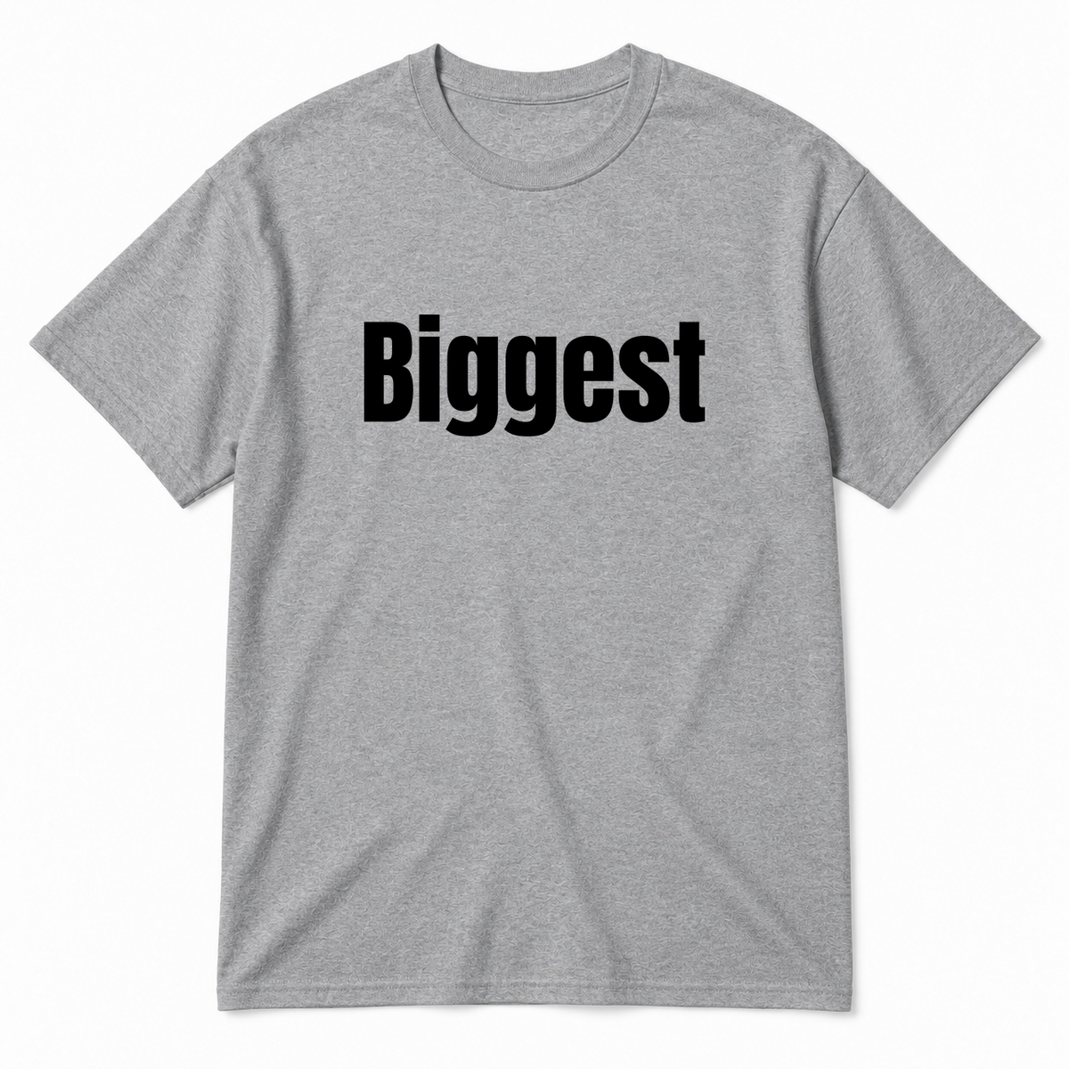 Biggest T-Shirt in gray