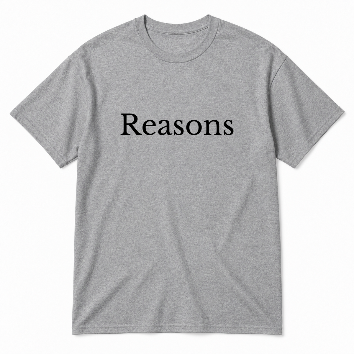 Reasons T-Shirt in gray