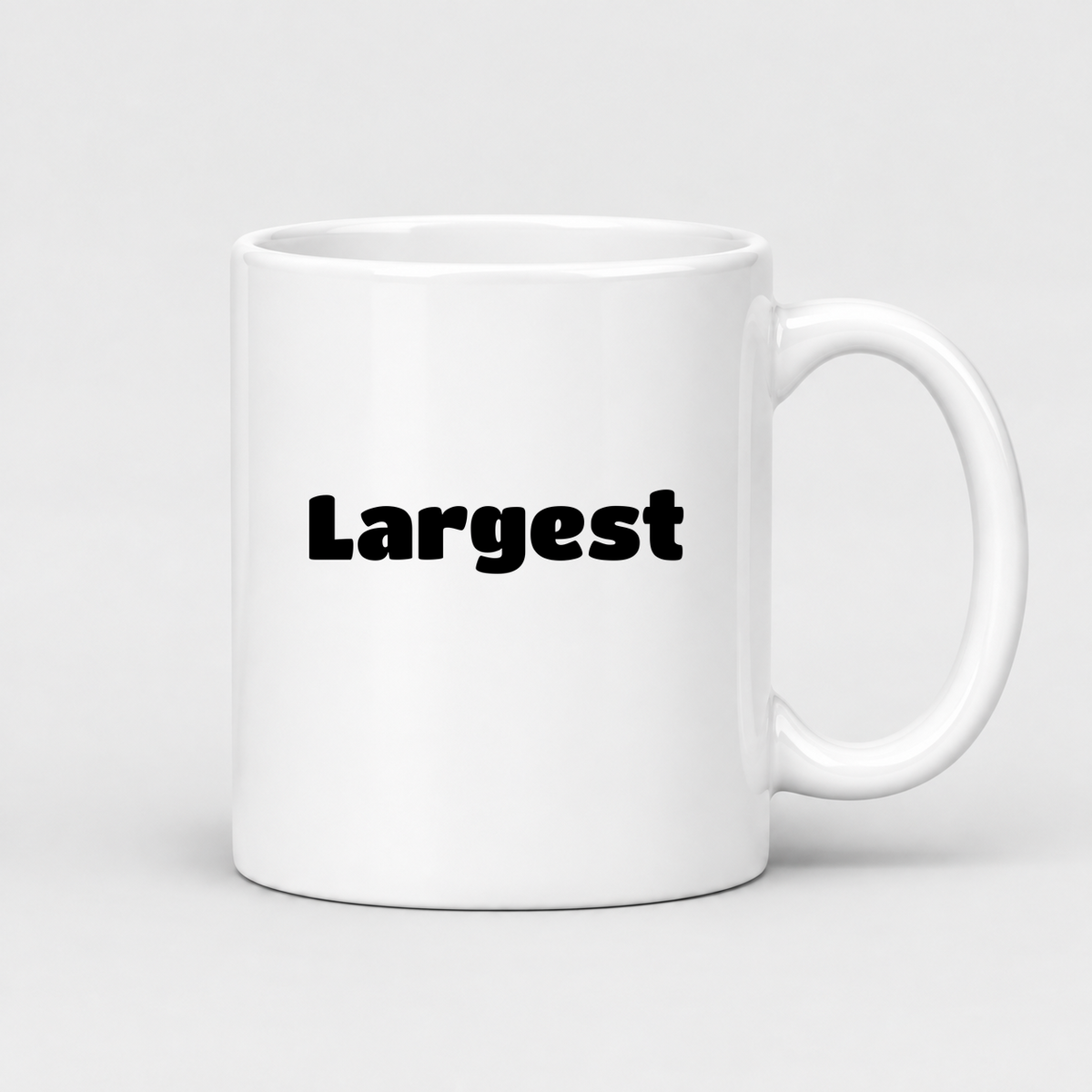 Largest Mug in white