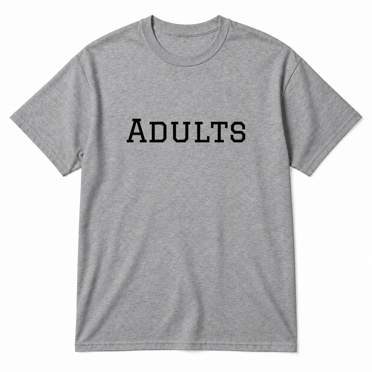 Adults T-Shirt in gray