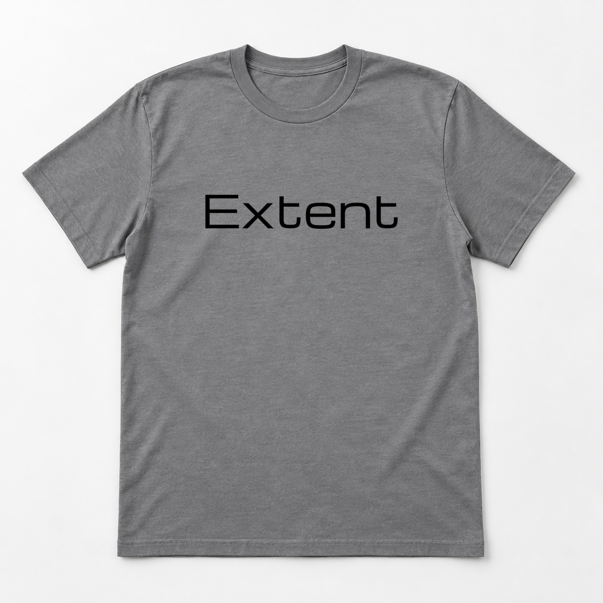Extent T-Shirt in gray