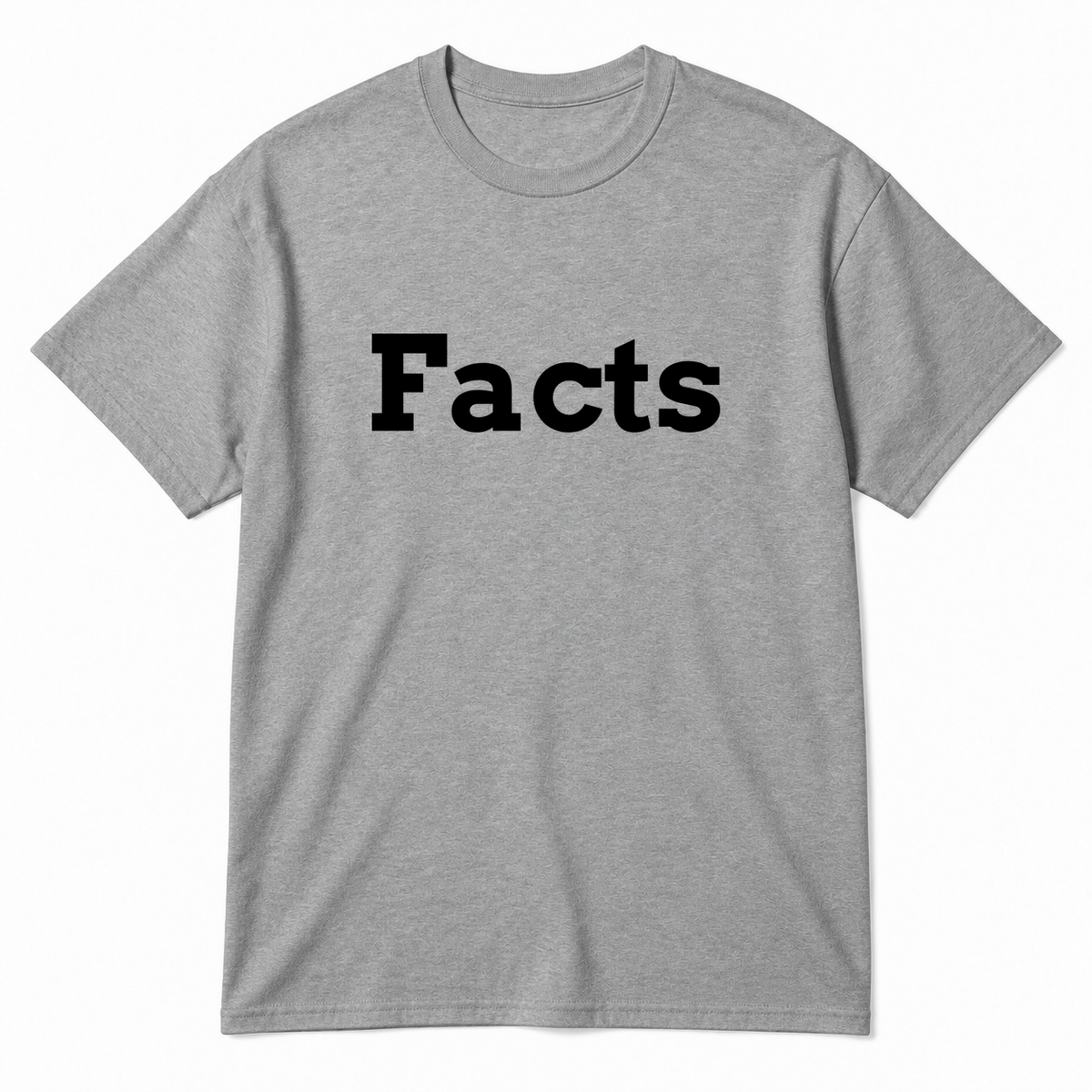 Facts T-Shirt in gray