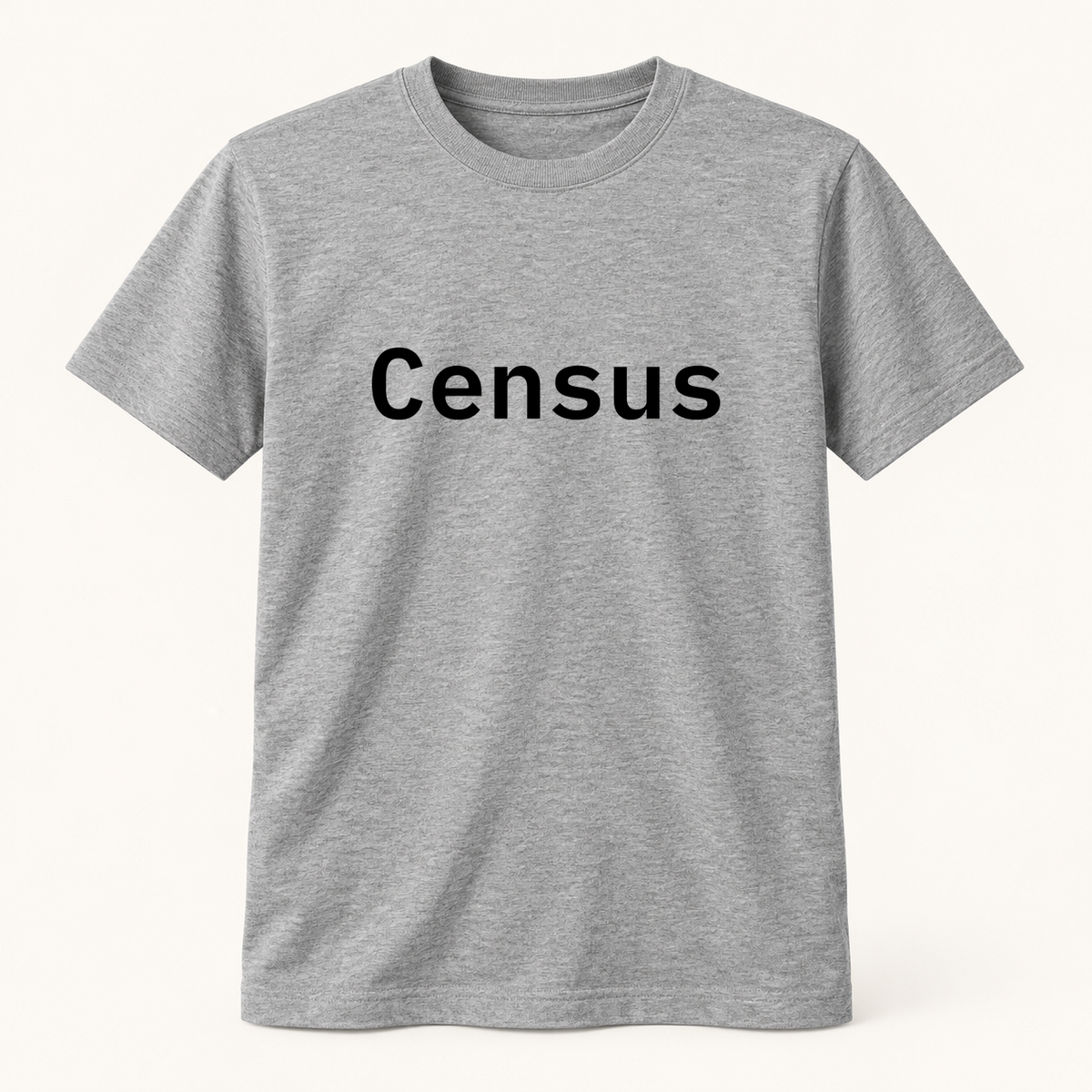 Census T-Shirt in gray