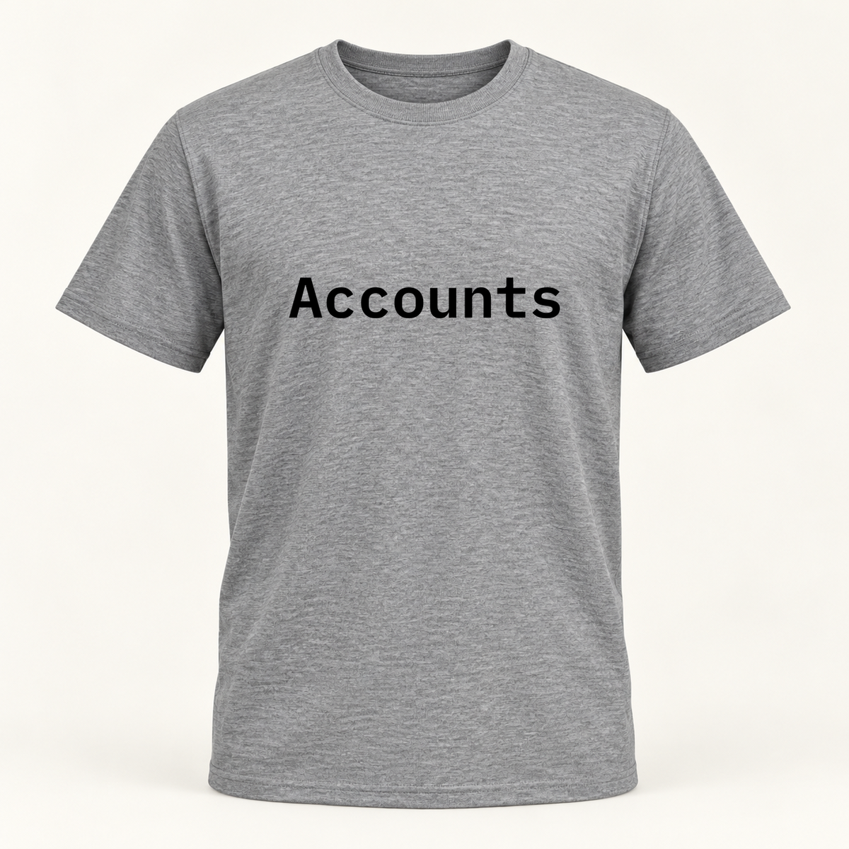 Accounts T-Shirt in gray