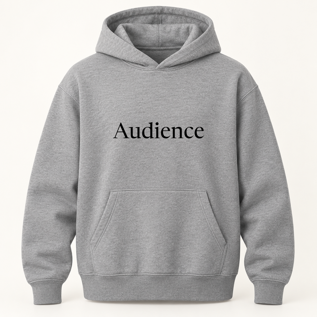 Audience Hoodie in gray
