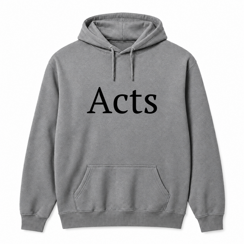 Acts Hoodie in gray