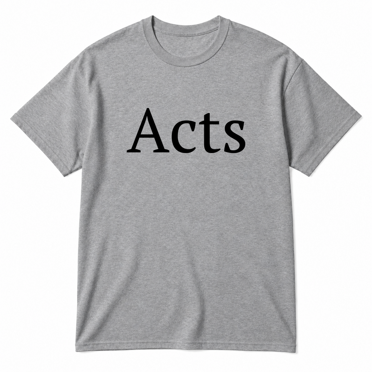 Acts T-Shirt in gray