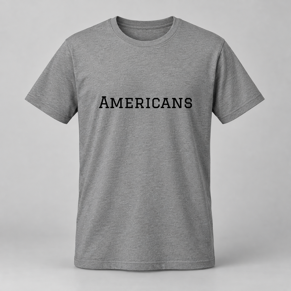 Americans T-Shirt in gray