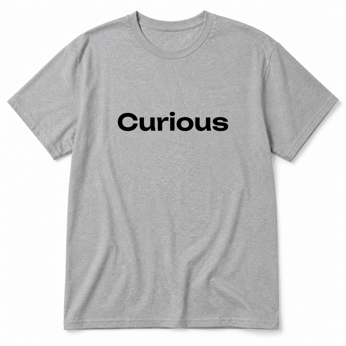 Curious T-Shirt in gray