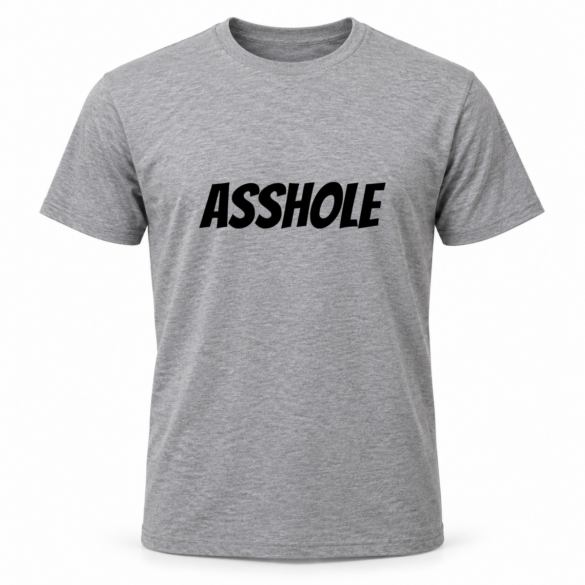 Asshole T-Shirt in gray