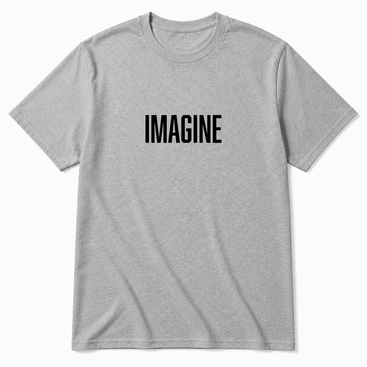 Imagine T-Shirt in gray